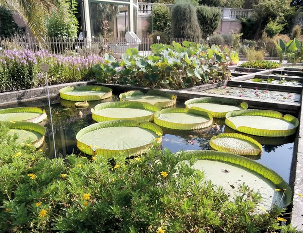 Orto Botanico di Padova